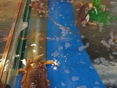 -盛福楼·惠山宴(盛岸路店)