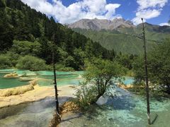 -黄龙山原始森林景区