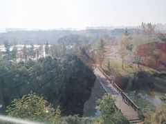 -四川大学(江安校区)