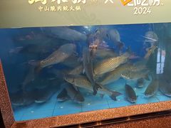 -淘米捞·米汤脆鲩鱼火锅(福田皇岗店)