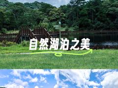 -海南热带雨林国家公园吊罗山景区