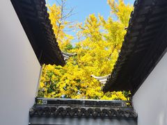-西园戒幢律寺