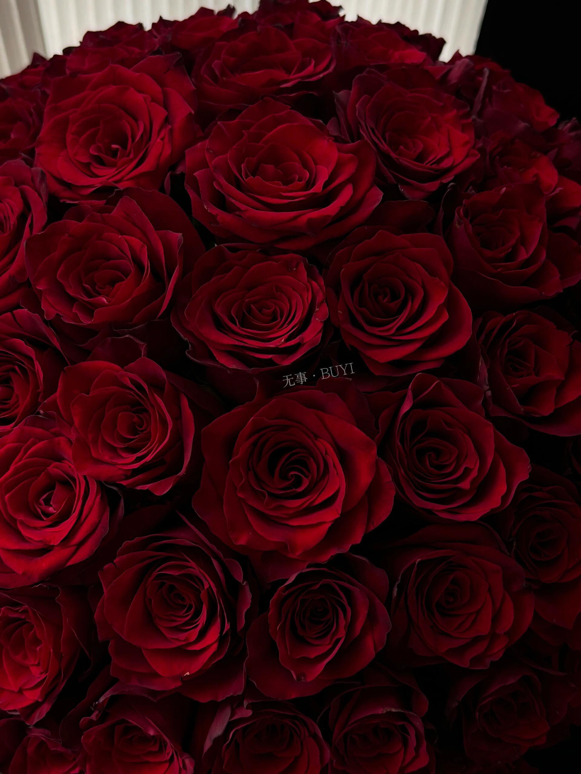 "中国红🪭·待到山花烂漫时 "