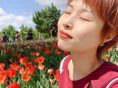 -长春公园(普阳街道)