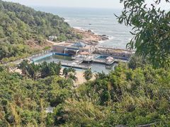 -广东惠东海龟国家级自然保护区