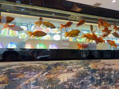 -韩记海鲜饺子(隆仁世家店)