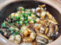 -红星光发煲仔饭(文海店)