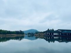 -长广溪湿地公园