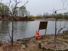 -马家湾湿地公园