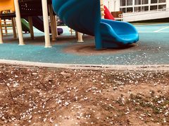 -爱彼格林珑悦幼儿园