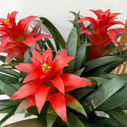 -和颜一美轻医美连锁