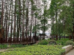 -东湖落雁景区