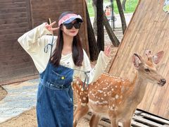 -南戴河国际娱乐中心