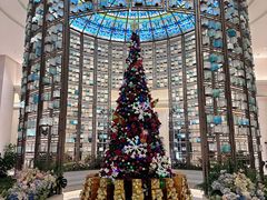 -青雅中餐厅(大连金石滩绿发希尔顿度假酒店)