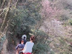 -崀山风景名胜区