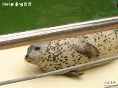 口耐啊~-绿色时代大酒店