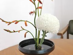 -灶咖KITCHEN