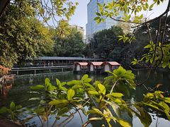 -侨美·唐荔园·40年地道粤菜