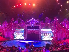 -珠海横琴长隆《卡卡虎奇遇记》