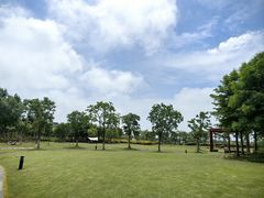 -春花秋色城市公园