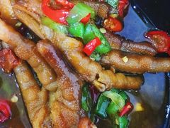-全乐鱼馆·淳牌有机鱼直营店