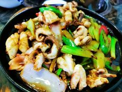 -蚝专家