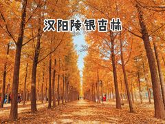 -汉景帝阳陵博物院