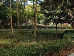 -徐家汇源景区-衡山公园