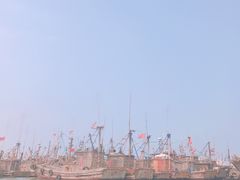 -日照世帆赛基地