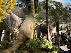 -湖南省地质博物馆