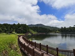-海南热带雨林国家公园吊罗山景区