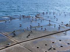 -星海广场