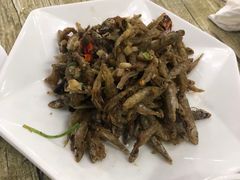 -品雅轩农家乐
