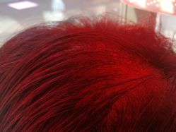 -碧莲盛·不剃发植发