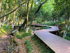 -杭州半山国家森林公园