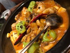 黑松露牛肝菌焖牛蛙-云海肴·汽锅鸡·云南菜(高德置地店)