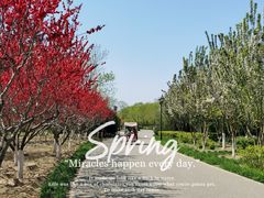 -永定河休闲森林公园