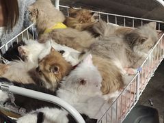 -连城·新天地(福华一路店)