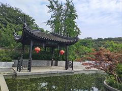 -雨花胜境