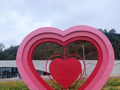 -野狸岛