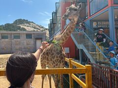 -西霞口神雕山野生动物世界