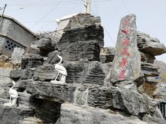 -大岭沟猕猴桃谷风景区