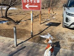 -白水寺森林公园