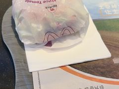 -麦当劳(鄂尔多斯机场店)