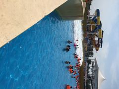 海盗传奇水世界-海盗传奇水世界