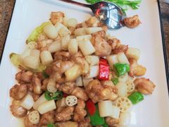 藕带掌中宝-几荷·恰似故人来(秀水广场店)