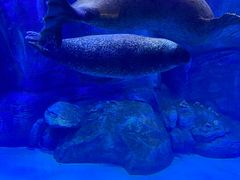 -波塞冬海底世界