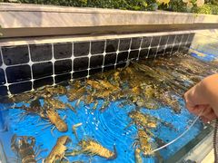-川骄海鲜自助(河东店)