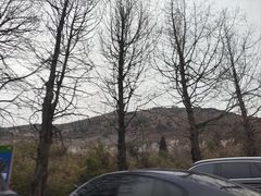 -东白山