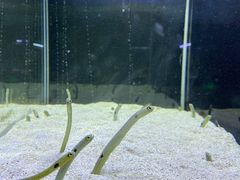 -沈阳海洋探索中心